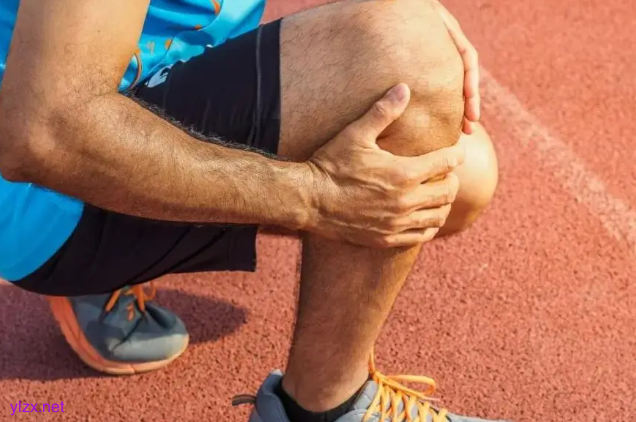 专家建议减肥不要长期跳绳 可能会损伤膝关节 专家建议减肥不要长期跳绳 可能会损伤膝关节