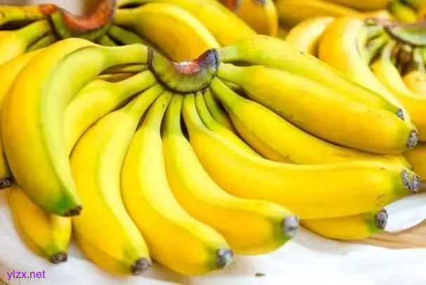 减肥、减碳、省钱!这种一箭三雕的好事 你肯定不知道 减肥、减碳、省钱!这种一箭三雕的好事 你肯定不知道