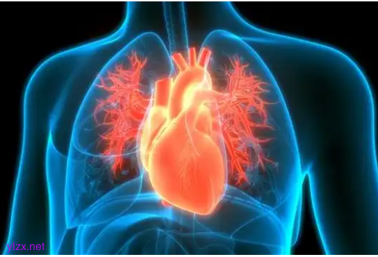 猝死前1个月身体会有何表现 25岁“世纪婴儿”猝死! 猝死前1个月身体会有何表现 25岁“世纪婴儿”猝死!