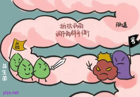 消化不好是肠道缺乏有益菌吗?哪些食物可以增加肠道有益菌? 消化不好是肠道缺乏有益菌吗?哪些食物可以增加肠道有益菌?