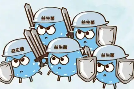 消化不好是肠道缺乏有益菌吗?哪些食物可以增加肠道有益菌? 消化不好是肠道缺乏有益菌吗?哪些食物可以增加肠道有益菌?