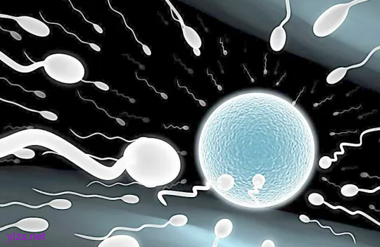 男性有高血压能要孩子吗?男性高血压患者吃降压药会影响精子吗? 男性有高血压能要孩子吗?男性高血压患者吃降压药会影响精子吗?