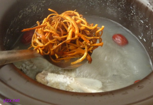 癌症患者喝益母草鲫鱼汤好吗?益母草鲫鱼汤可以抑制癌细胞吗？