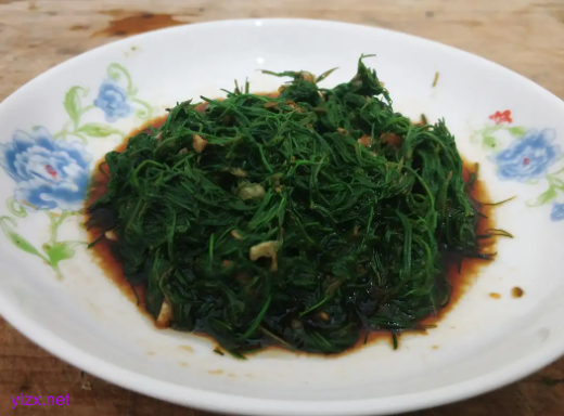 糖尿病患者可以吃猪毛菜吗?猪毛菜多吃可以控糖吗? 糖尿病患者可以吃猪毛菜吗?猪毛菜多吃可以控糖吗?