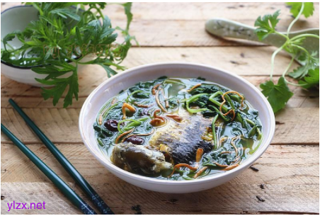 癌症患者喝益母草鲫鱼汤好吗?益母草鲫鱼汤可以抑制癌细胞吗？