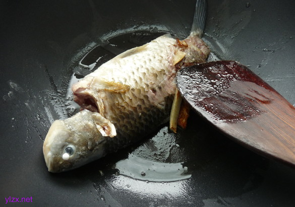 癌症患者喝益母草鲫鱼汤好吗?益母草鲫鱼汤可以抑制癌细胞吗？