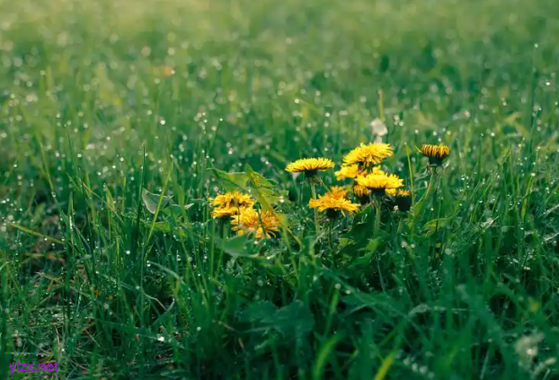 山东天气“变脸”倒计时!18日雷雨+9级大风强势来袭 山东天气“变脸”倒计时!18日雷雨+9级大风强势来袭