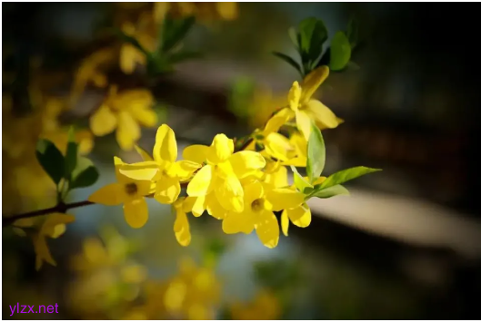 山东天气“变脸”倒计时!18日雷雨+9级大风强势来袭 山东天气“变脸”倒计时!18日雷雨+9级大风强势来袭