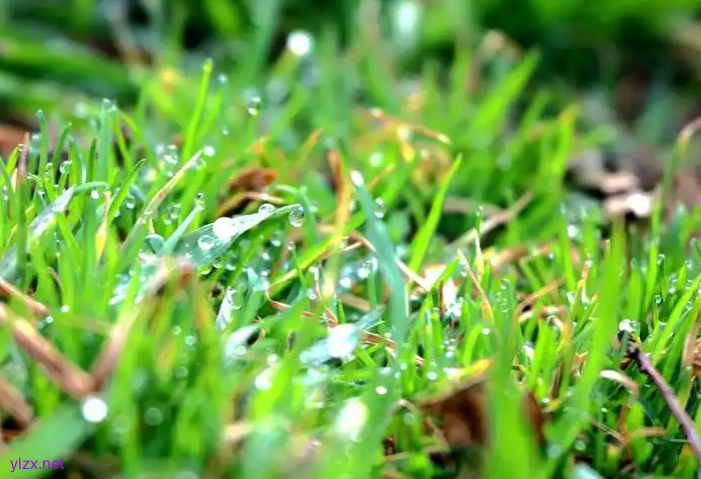 山东天气“变脸”倒计时!18日雷雨+9级大风强势来袭 山东天气“变脸”倒计时!18日雷雨+9级大风强势来袭