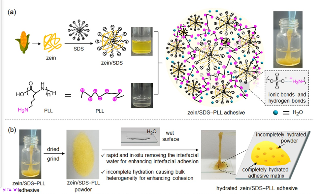 d:\Documents\WeChat Files\wxid_em4o673u9gqf22\FileStorage\Temp\1744441310497.png