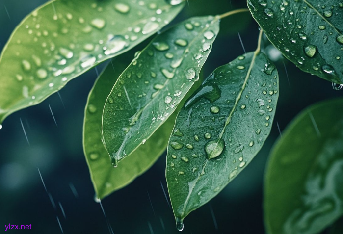 为何多雨时节总“犯困”?温养脾胃正当时 为何多雨时节总“犯困”?温养脾胃正当时