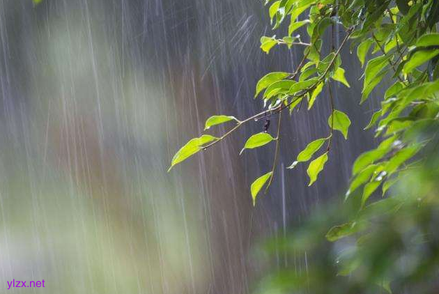 谷雨时节老年人保暖祛湿很重要