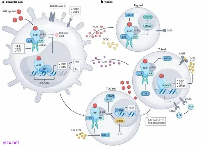 图示
AI 生成的内容可能不正确。