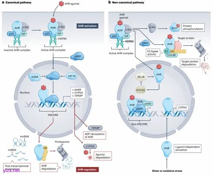 图示
AI 生成的内容可能不正确。