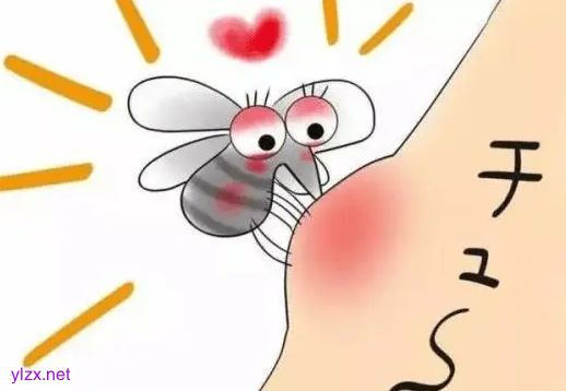 夏日蚊子叮咬起包可以挤吗？教你4招可以快速止痒消肿